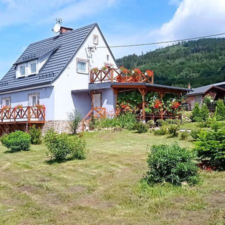 Вилла Sowi Dom - Jugow Экстерьер фото